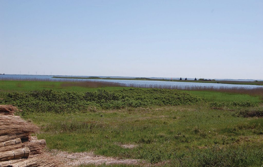 Semesterhus - Bjerregård , Danmark - P62460 22