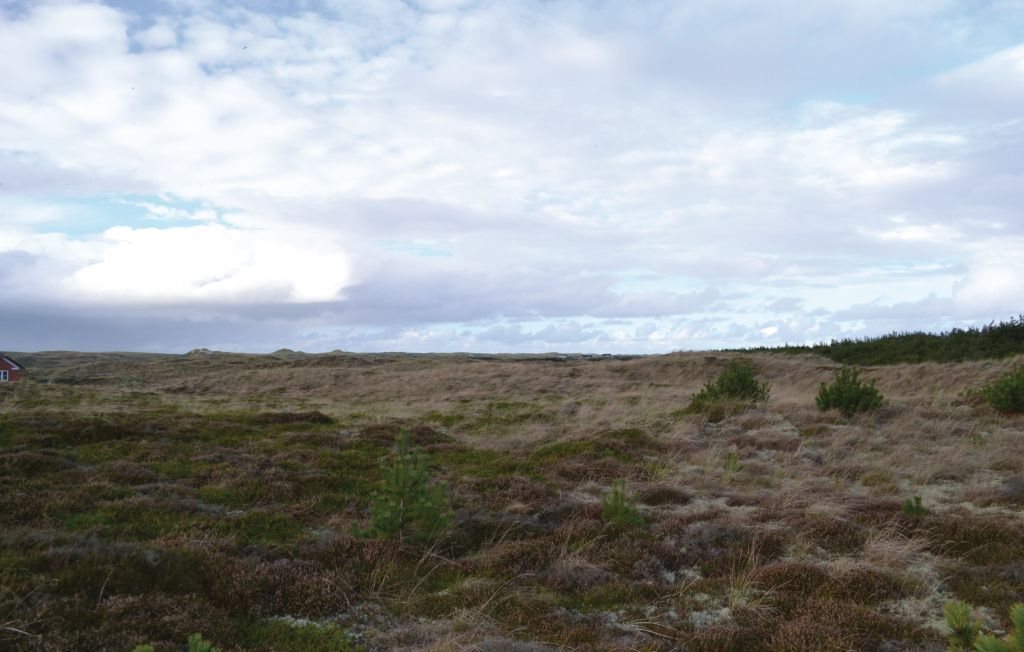 Ferienhaus - Bjerregård , Dänemark - P62632 13