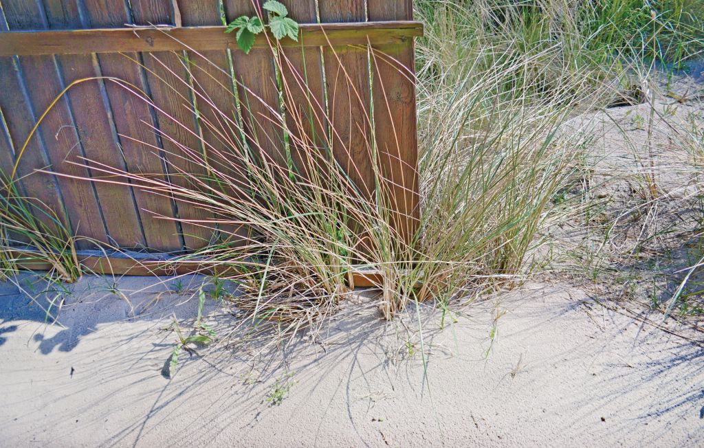 Ferienhaus - Årgab , Dänemark - P62853 27