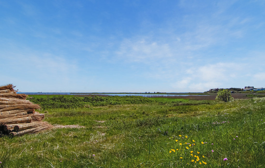 Ferienhaus - Haurvig , Dänemark - P62873 26
