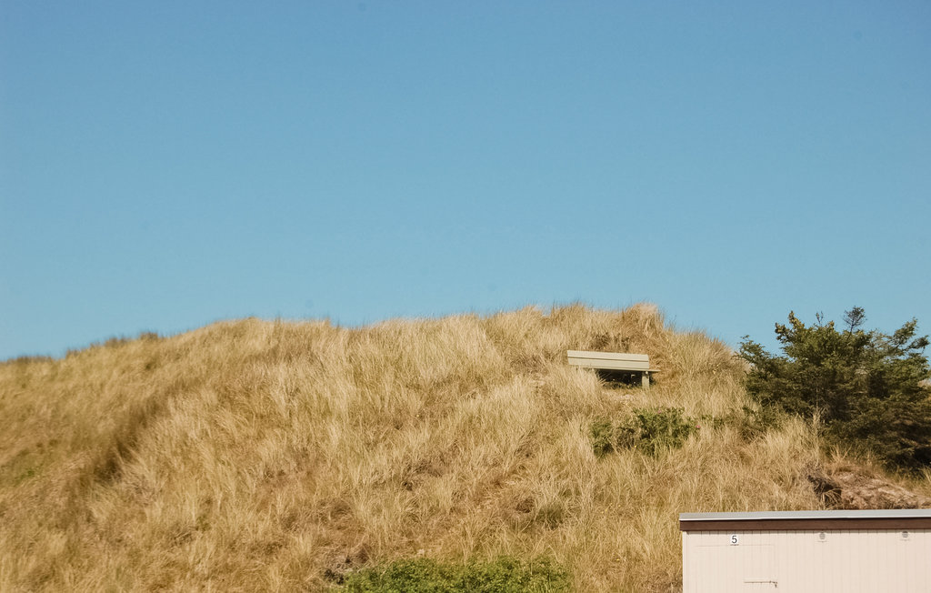 Ferienhaus - Skodbjerge , Dänemark - P62451 3