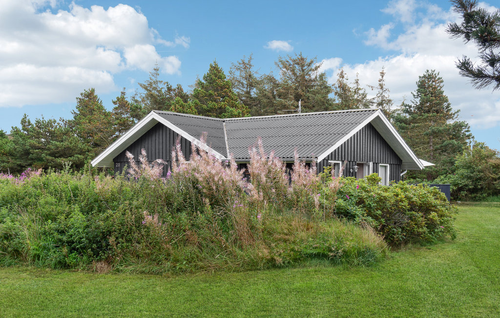 Feriehuse - Bjerregård , Danmark - P62425 16