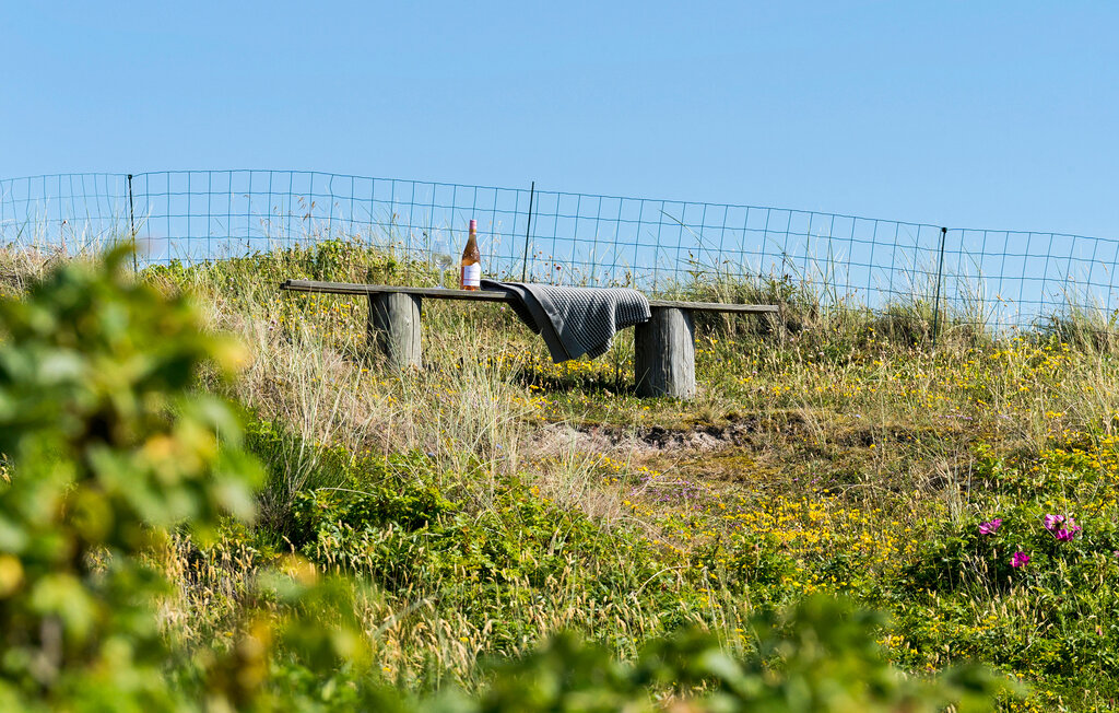 Kuća-za-odmor - Årgab , Danska - P62111 9