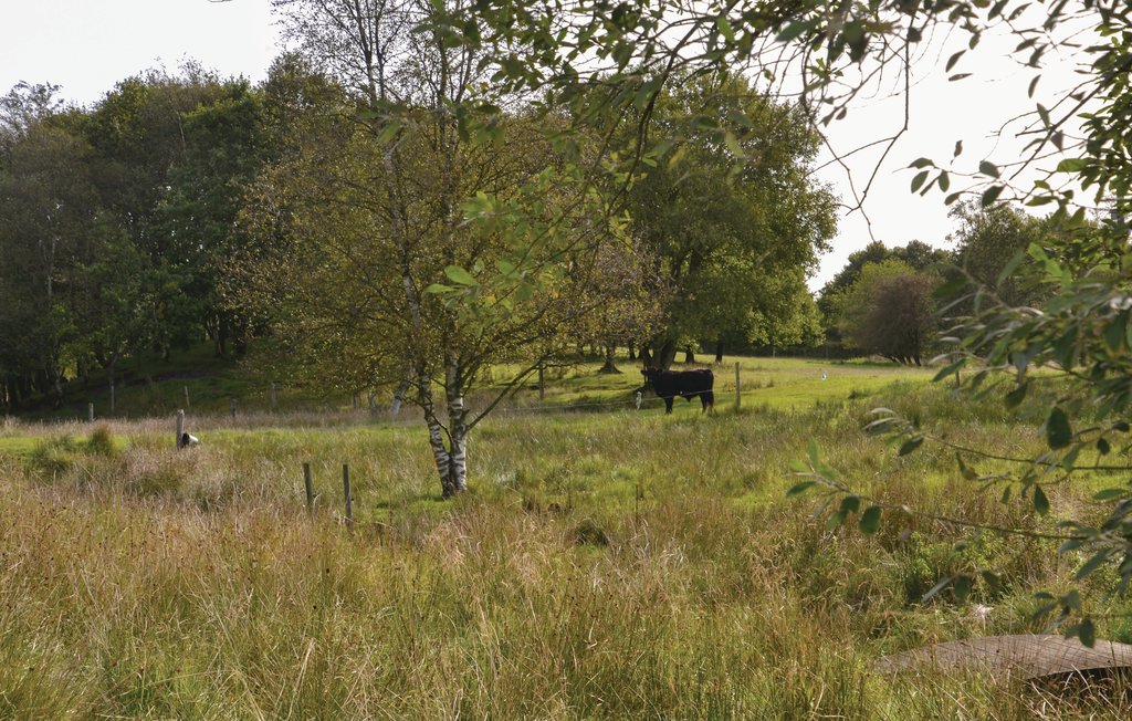 Feriehuse - Holme Å Hytteby , Danmark - P85090 18