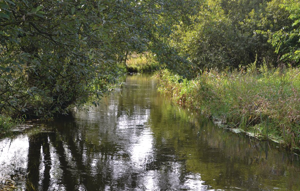 Feriehuse - Holme Å Hytteby , Danmark - P85090 16