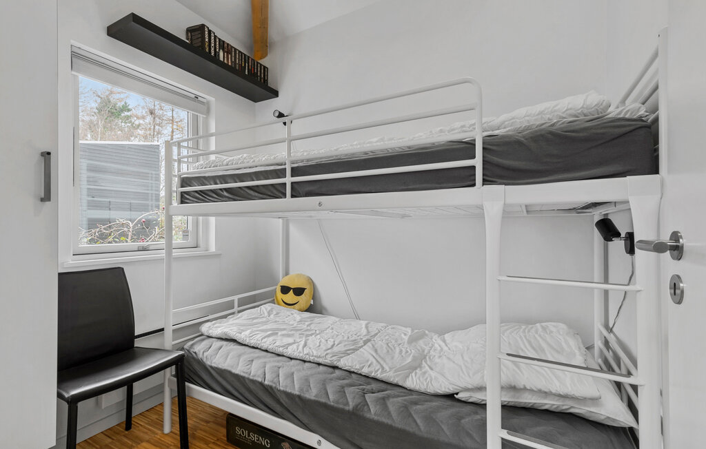 Domy wakacyjne - Skarrild , Dania - P85065 14