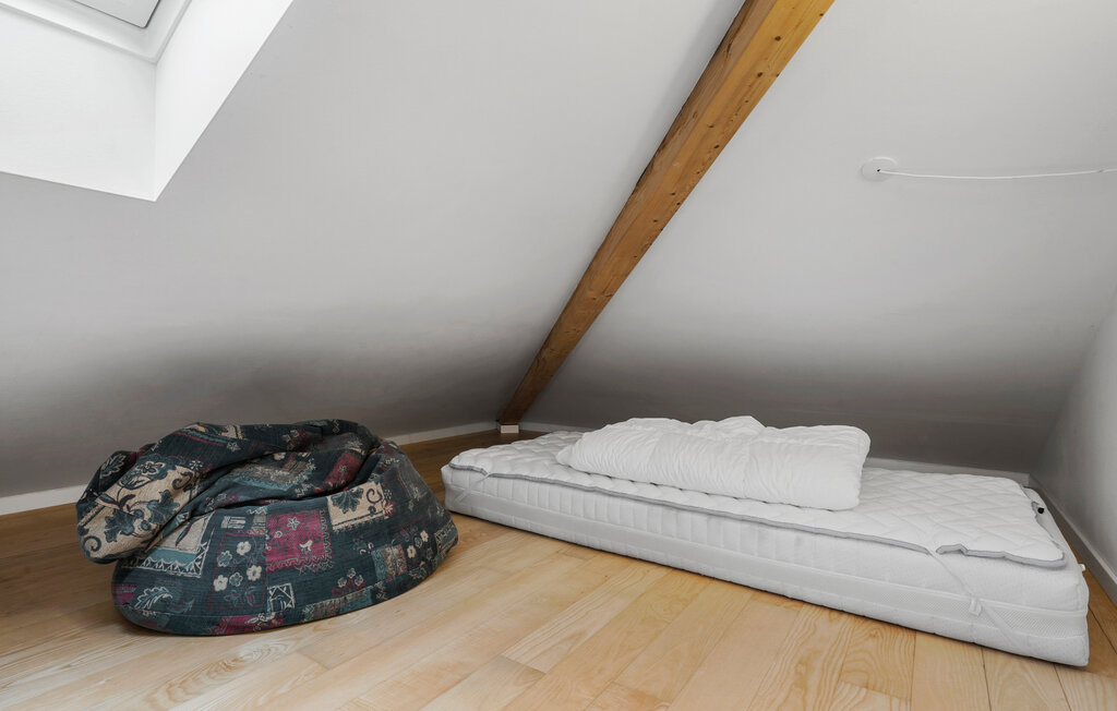 Domy wakacyjne - Skarrild , Dania - P85065 15