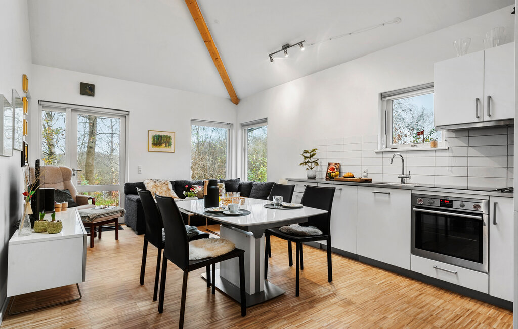 Domy wakacyjne - Skarrild , Dania - P85065 7