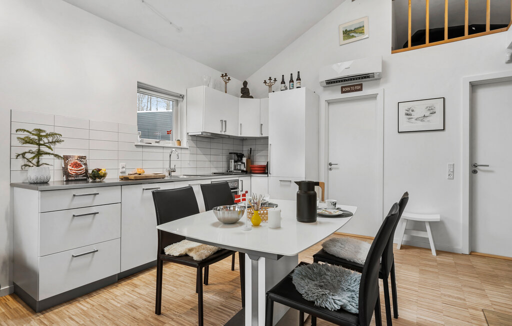 Domy wakacyjne - Skarrild , Dania - P85065 8