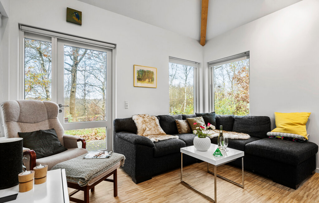 Domy wakacyjne - Skarrild , Dania - P85065 4