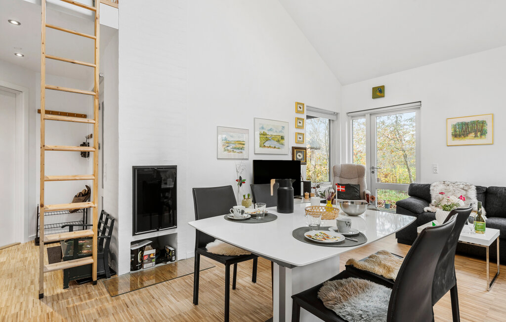 Domy wakacyjne - Skarrild , Dania - P85065 6