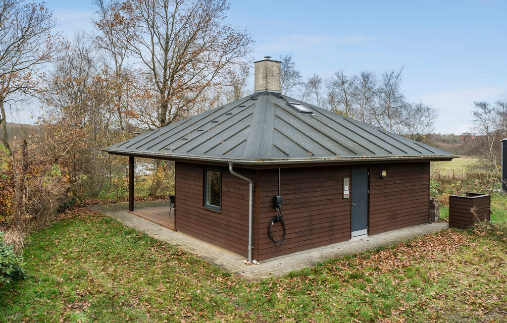 Domy wakacyjne - Skarrild , Dania - P85065 10