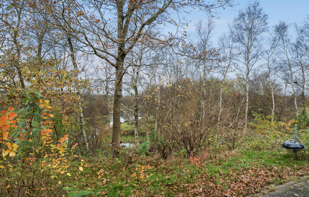 Domy wakacyjne - Skarrild , Dania - P85065 12