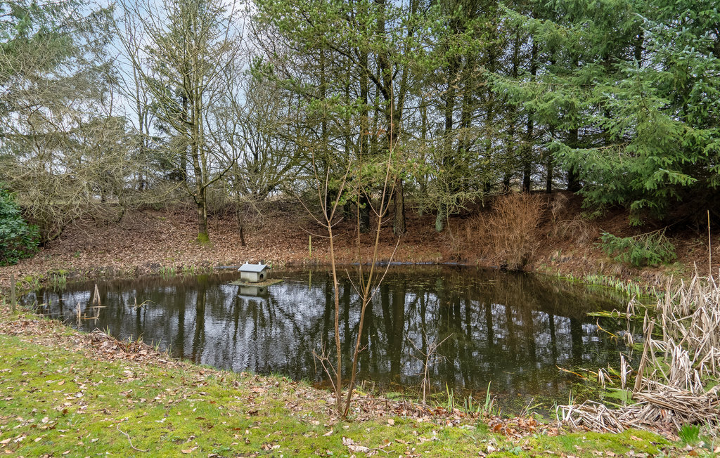 Feriehus - Billund , Danmark - P95107 13