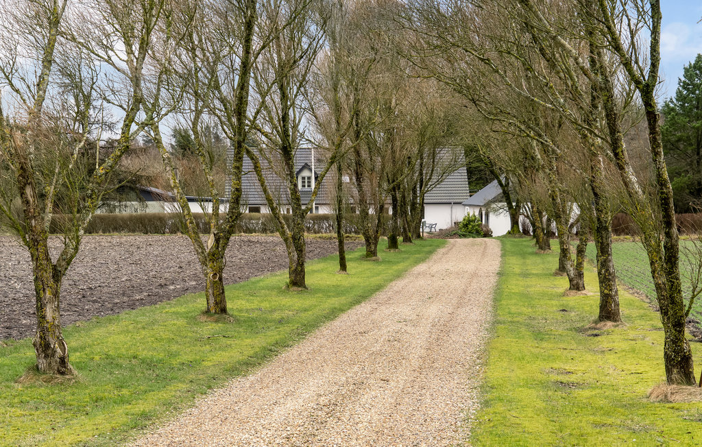 Feriehus - Billund , Danmark - P95107 9