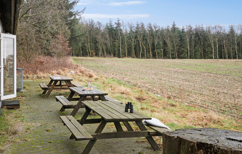 Feriehuse - Billund , Danmark - P95108 9