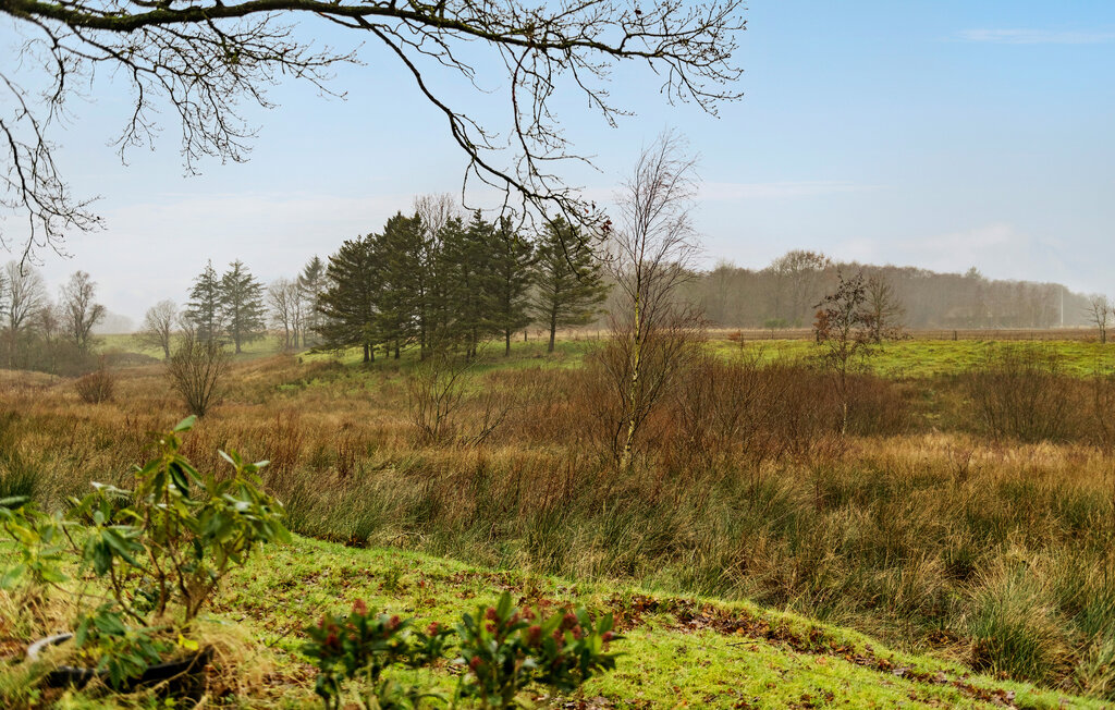 Feriehuse - Hovborg , Danmark - P95011 14