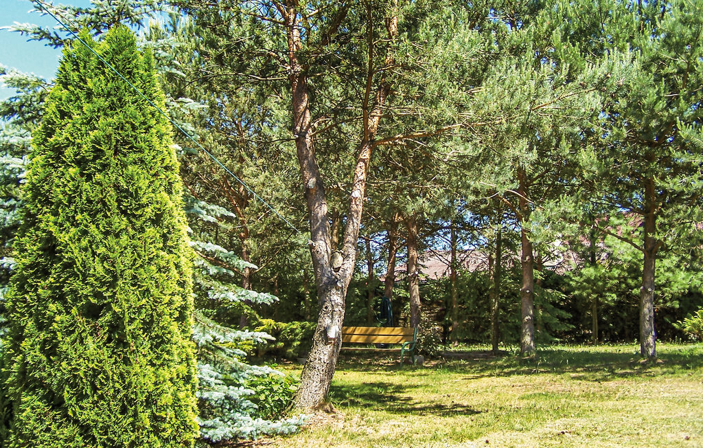 Semesterhus - Szteklin , Polen - PKA531 11