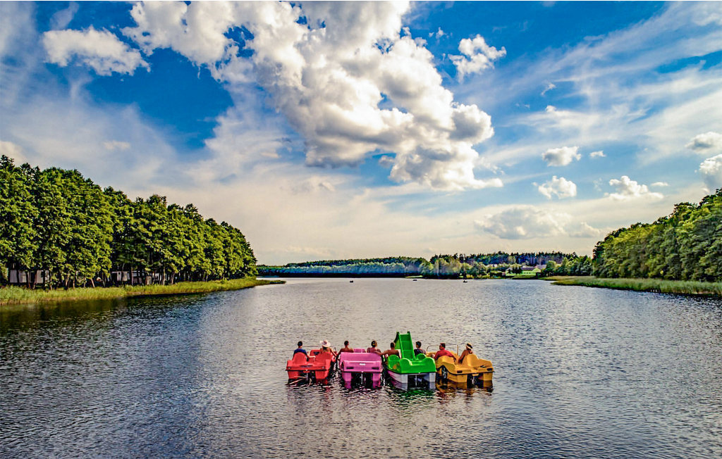 Domy wakacyjne - Skarszewo , Polska - PKA205 5