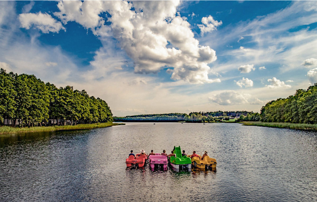 Domy wakacyjne - Skarszewo , Polska - PKA202 2