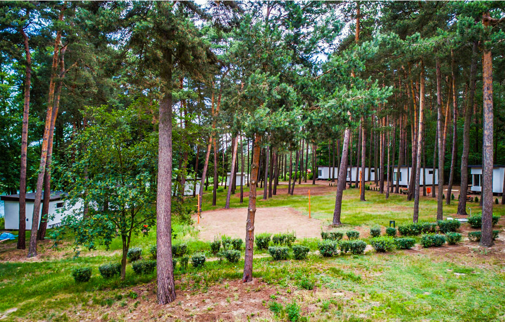 Domy wakacyjne - Skarszewo , Polska - PKA202 11