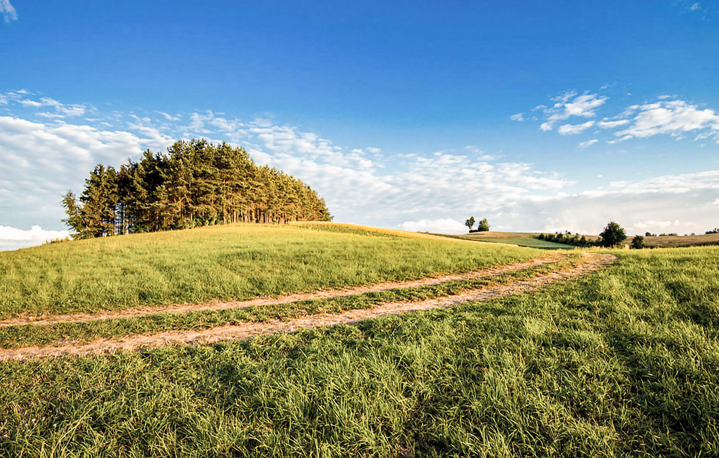 Feriehus - Kozyczkowo , Polen - PKA593 25