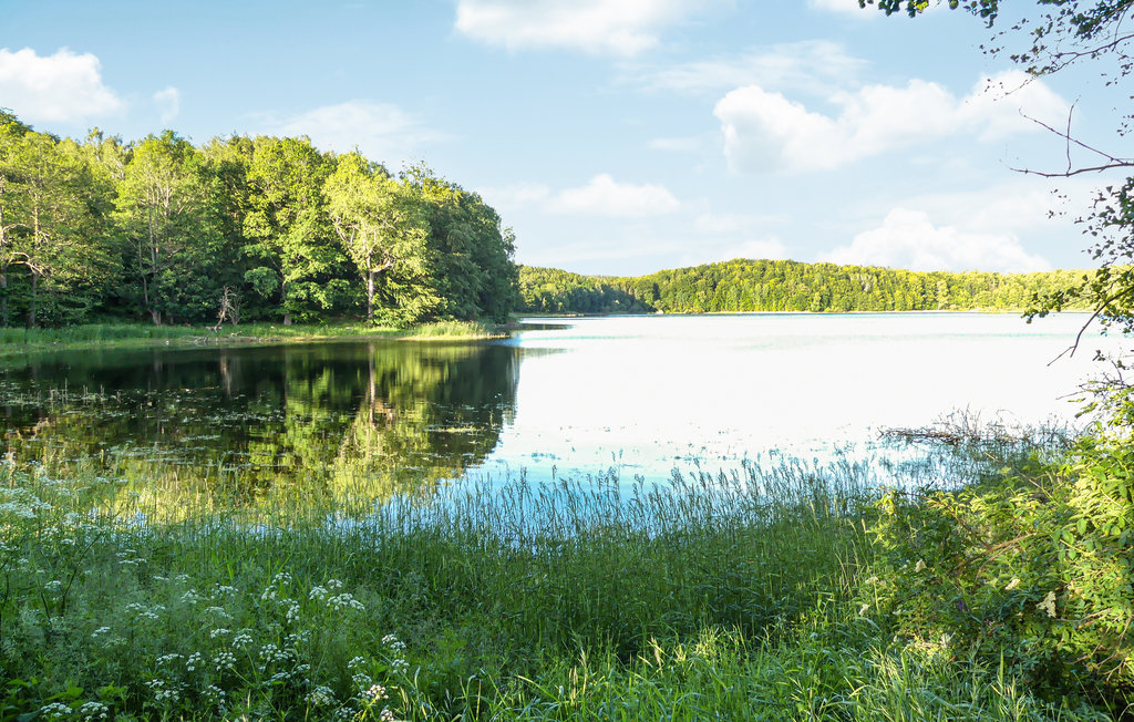 Feriehus - Bialy Bór , Polen - PKA216 15