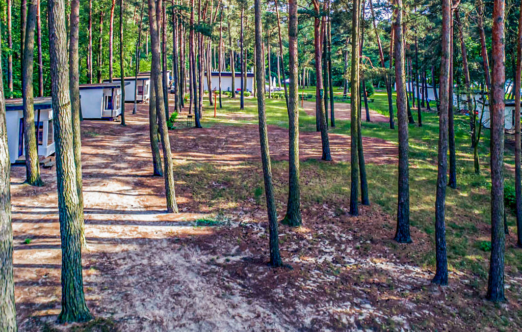 Domy wakacyjne - Skarszewo , Polska - PKA205 10