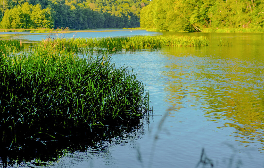 Location de vacances - Tlen , Pologne - PKA907 22