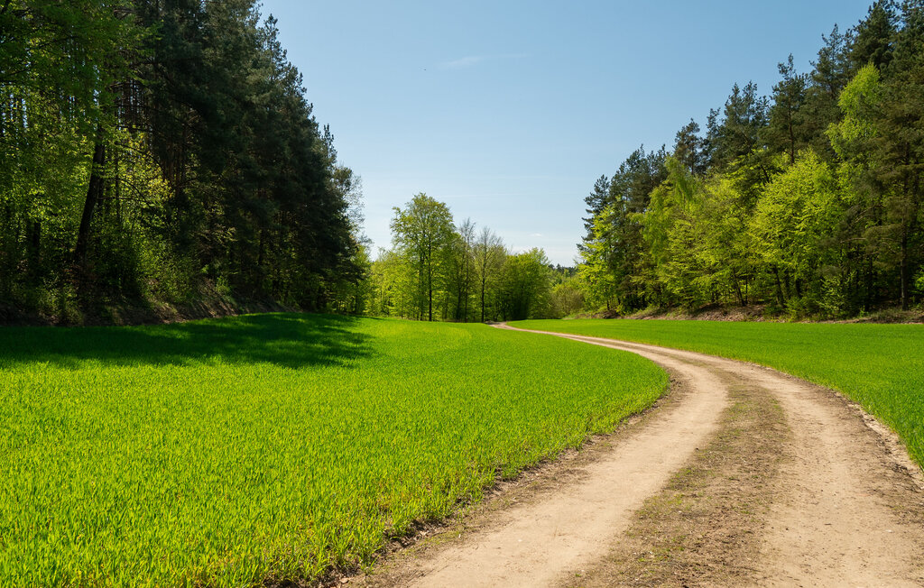 Ferienhaus - Kartuzy , Polen - PKA916 18