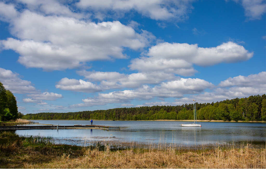 Ferieleilighet - Ostrowite , Polen - PKA971 22
