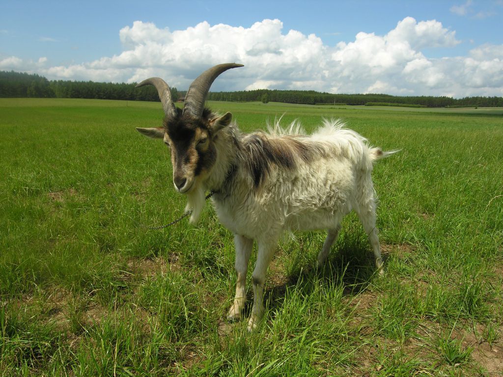 Bild 15 Bild 15
