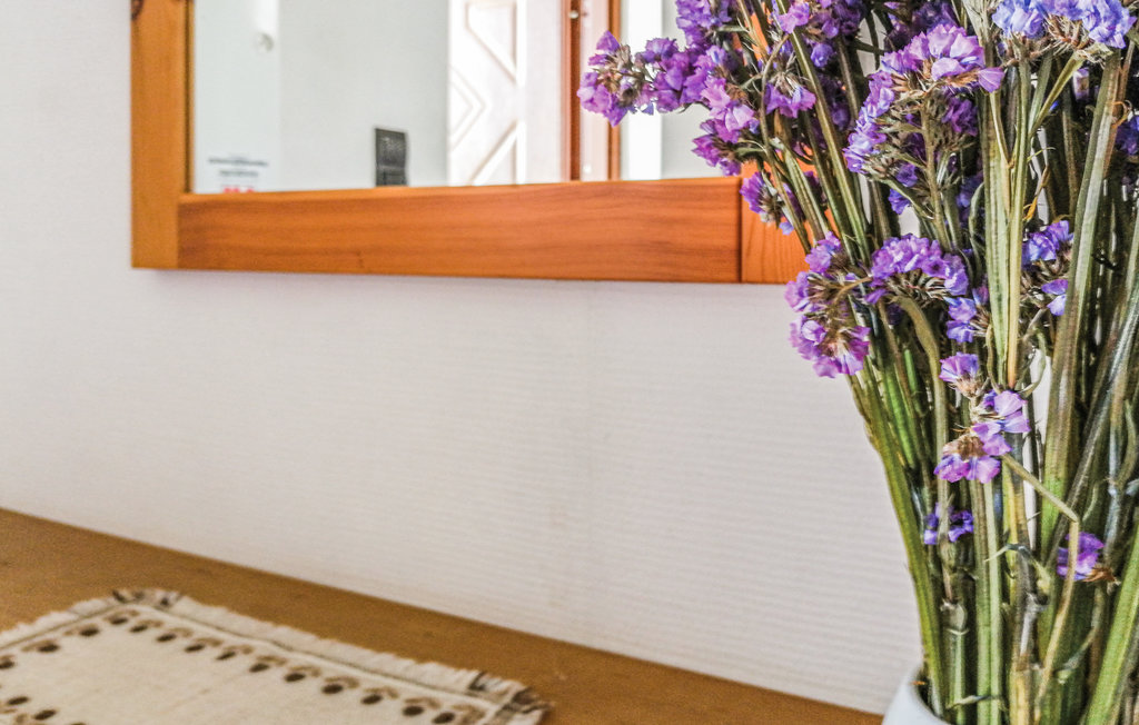 Feriehuse - Burdag , Polen - PMA240 18