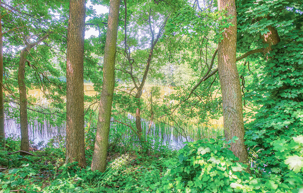 Ferienhaus - Pasym , Polen - PMA440 36