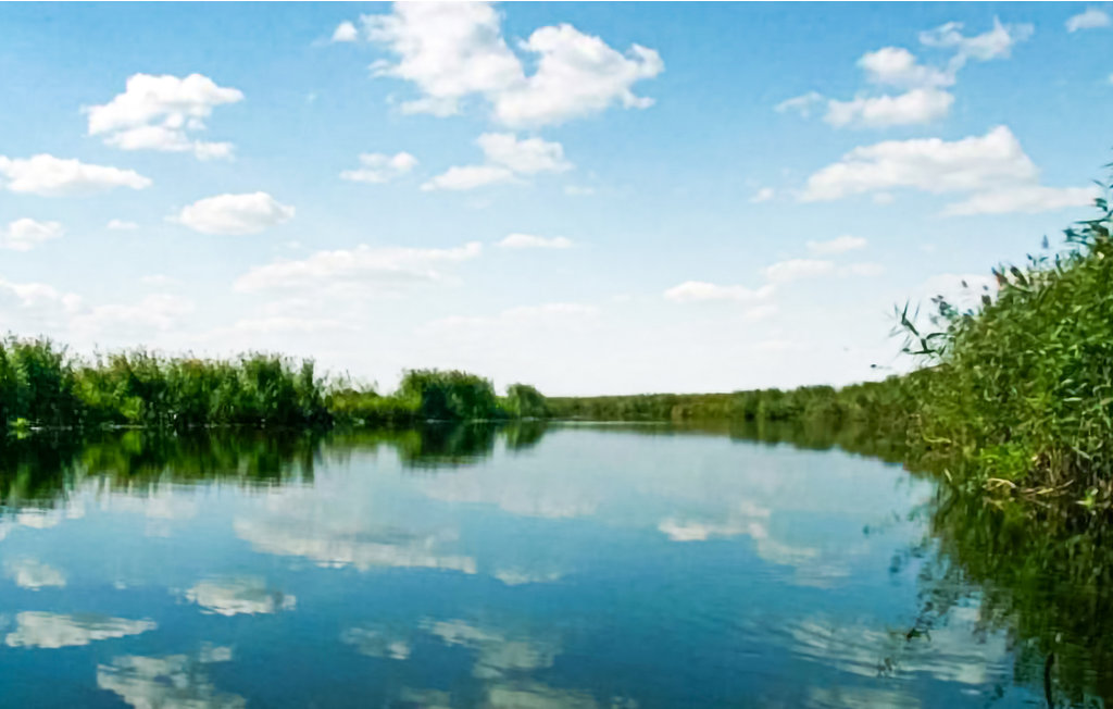 Feriehuse - Dolistowo Stare , Polen - PMA308 17