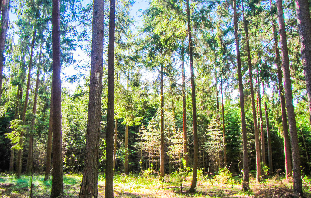 Feriehus - Kaplityny , Polen - PMA559 33