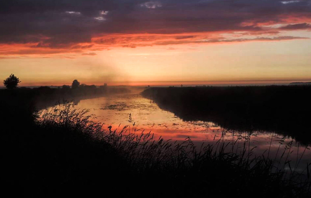 Feriehuse - Dolistowo Stare , Polen - PMA308 8