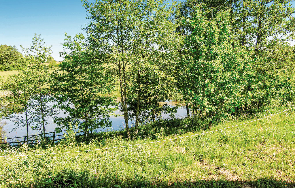 Feriehuse - Roje , Polen - PMA324 44