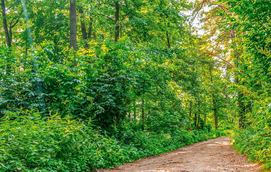 Ferienhaus - Gietrzwald , Polen - PMA003 21