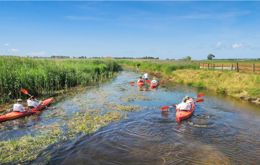 Feriehuse - Dolistowo Stare , Polen - PMA308 5