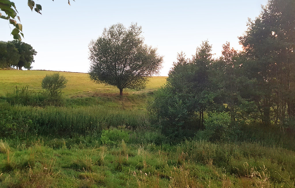 Ferienhaus - Braniewo , Polen - PMA023 14