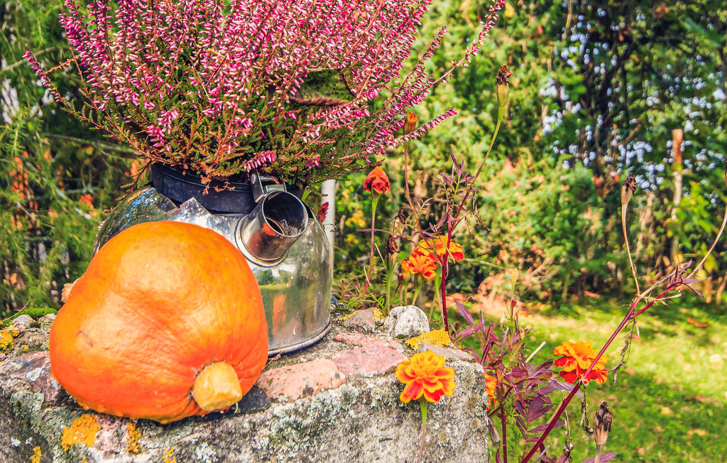 Feriehuse - Czerwonki , Polen - PMA201 10