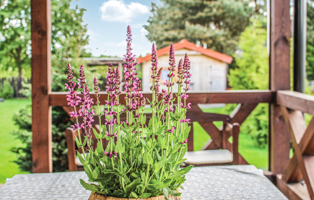 Feriehuse - Burdag , Polen - PMA240 16