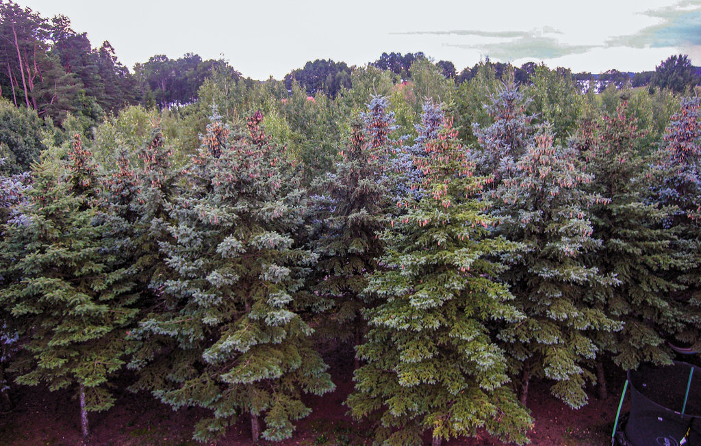 Ferienhaus - Pasym , Polen - PMA440 12