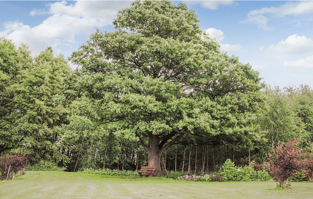 Ferienhaus - Trygort , Polen - PMA421 36