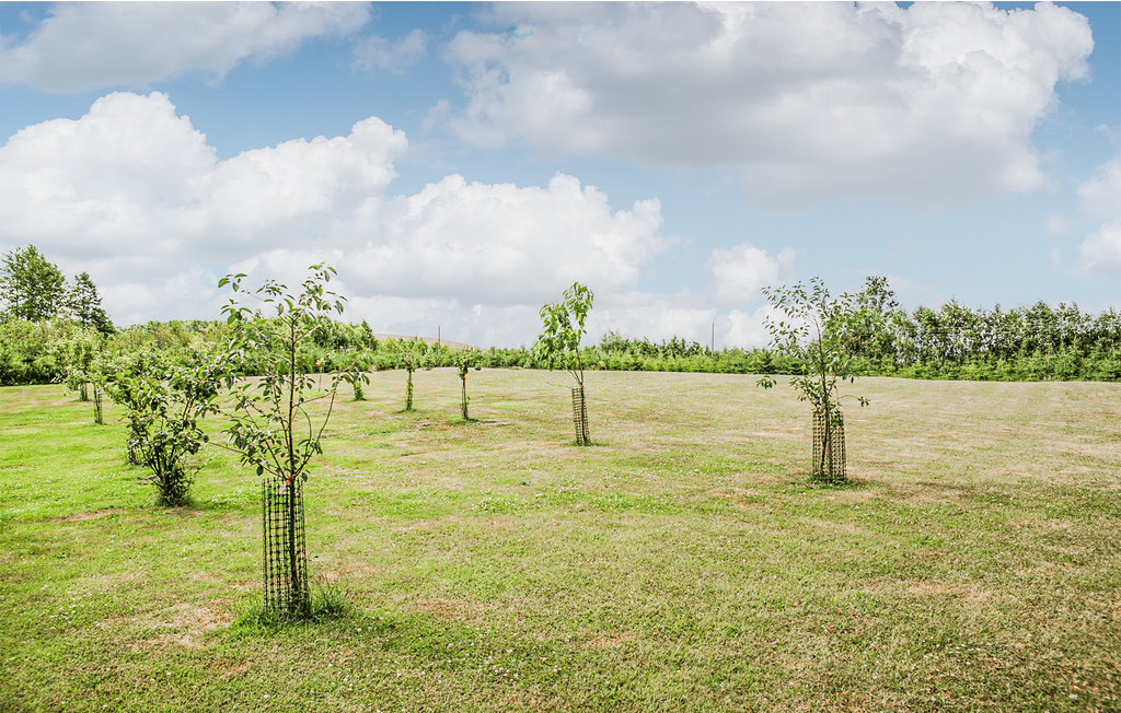 Ferienhaus - Trygort , Polen - PMA421 37