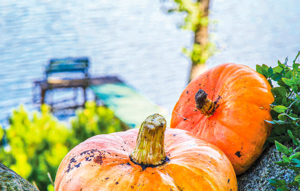 Feriehuse - Czerwonki , Polen - PMA212 30