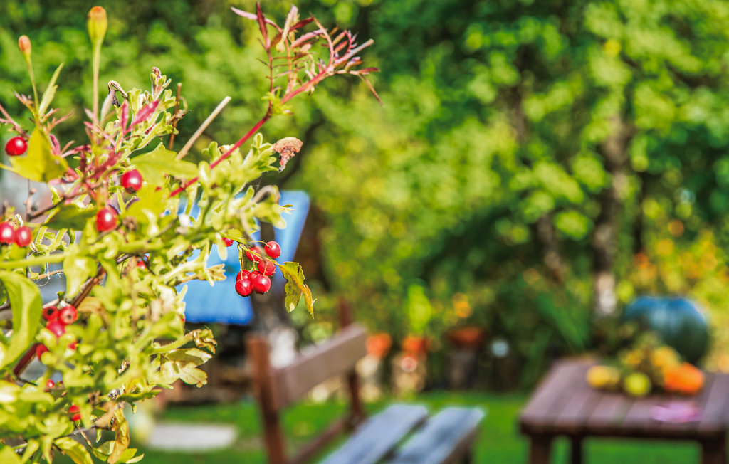 Feriehuse - Czerwonki , Polen - PMA201 9