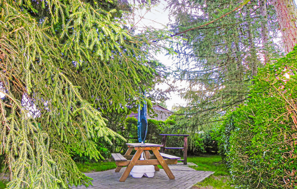 Feriehuse - Murawki , Polen - PMA536 7