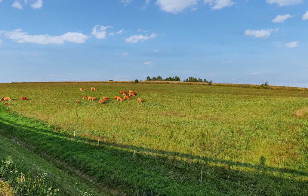 Feriehuse - Karszewo , Polen - PMA888 7